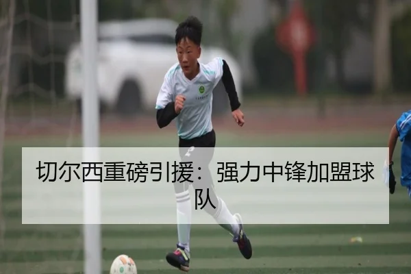 切尔西重磅引援：强力中锋加盟球队